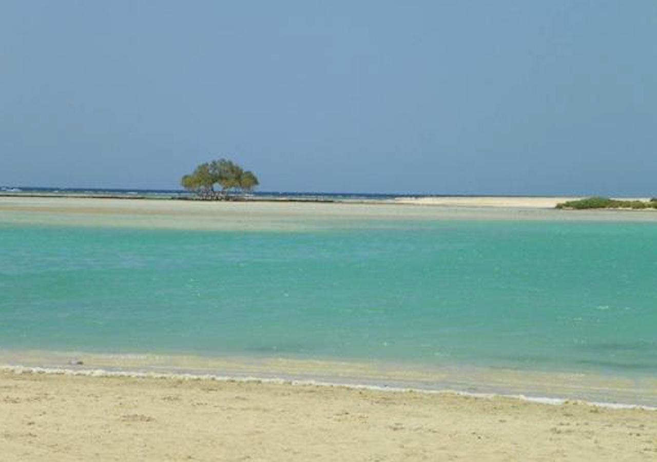 Ambassador House Marsa Alam Lägenhet Exteriör bild